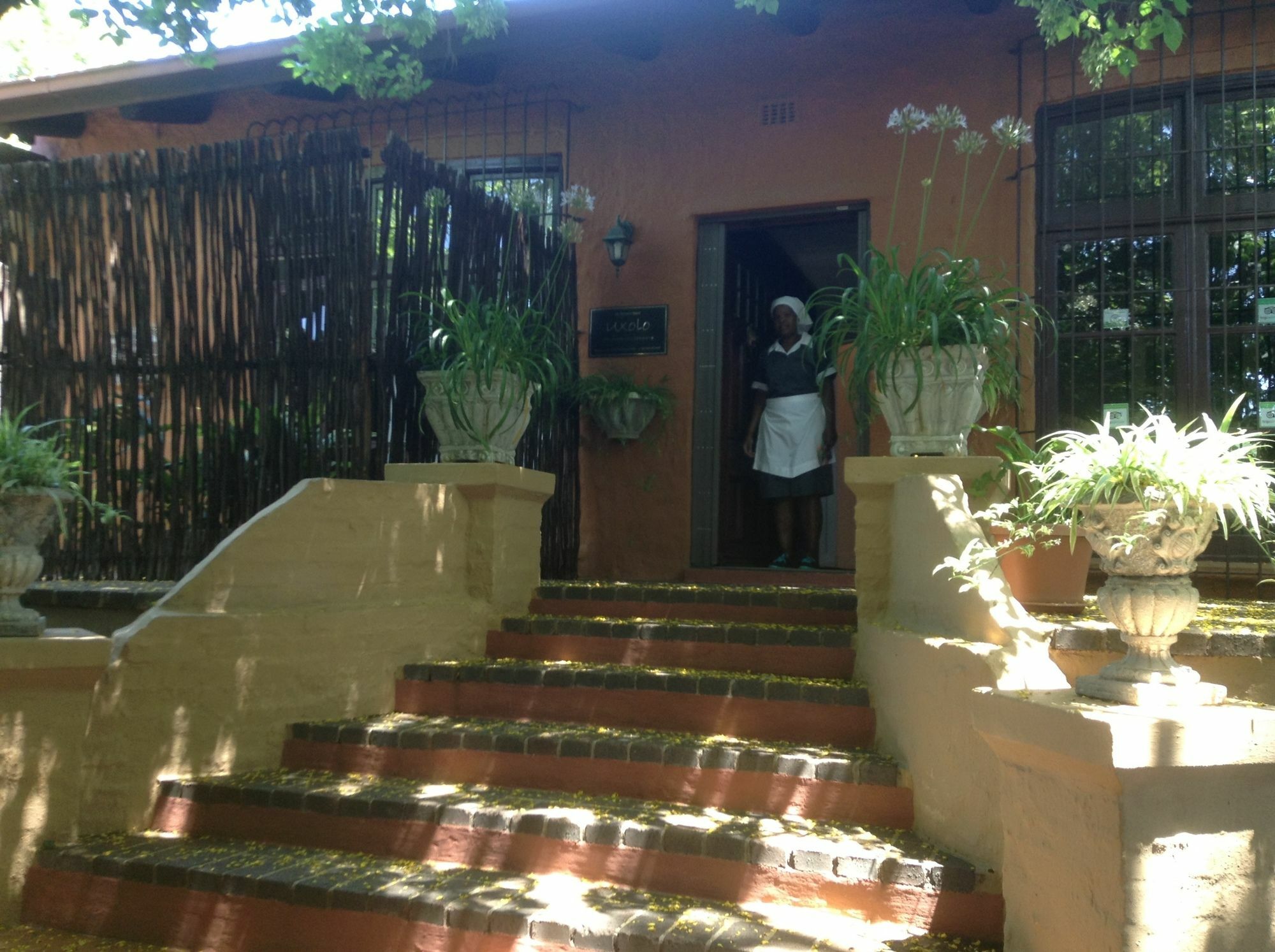 Uxolo Guest House Johannesbourg Extérieur photo
